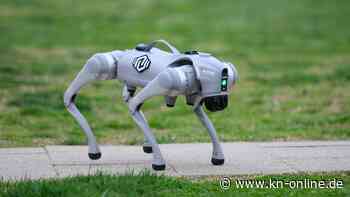 USA: Geiselnehmer schießt auf Roboter-Hund der Polizei