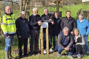 Boom staat symbool voor 50 jaar verbroedering met Schwalmstadt