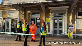 Teenager, 19, is charged with attempted murder after passenger was stabbed on a train in broad daylight in front of terrified commuters