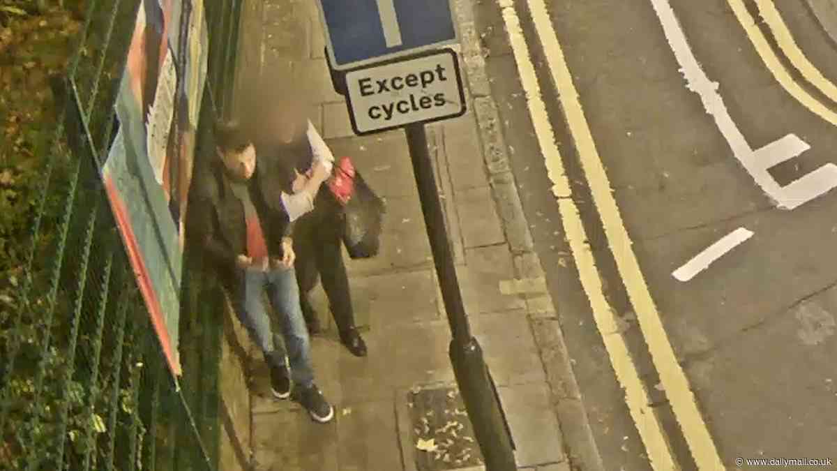 Rapist assaulted two women at night in two London attacks four years apart - as police release footage and warn there may be more victims