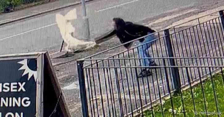 Woman ‘stole wedding dress’, dragged it through puddle then dumped it on fence