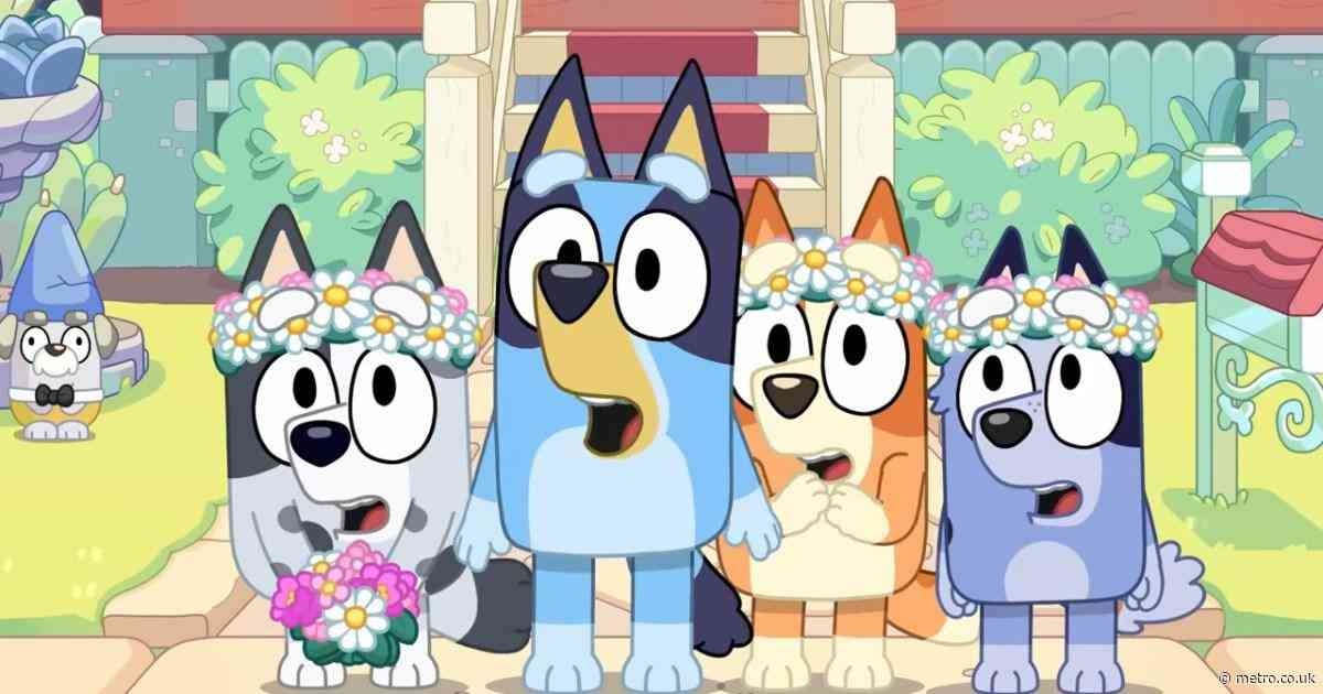 Is Bluey going to announce a long-awaited pregnancy? Every clue revealed so far