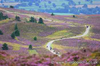 'Scouse mountain' perfect for an Easter climb that everyone in Merseyside visits