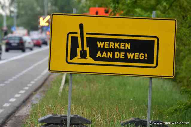 Agentschap Wegen en Verkeer werkt een week lang aan verzakte klinkers van bushaven