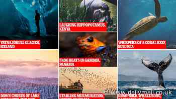 The 7 SONIC wonders of the world: The incredible sounds to hear before it's too late - including laughing hippos in Kenya and Iceland's Vatnajokull Glacier