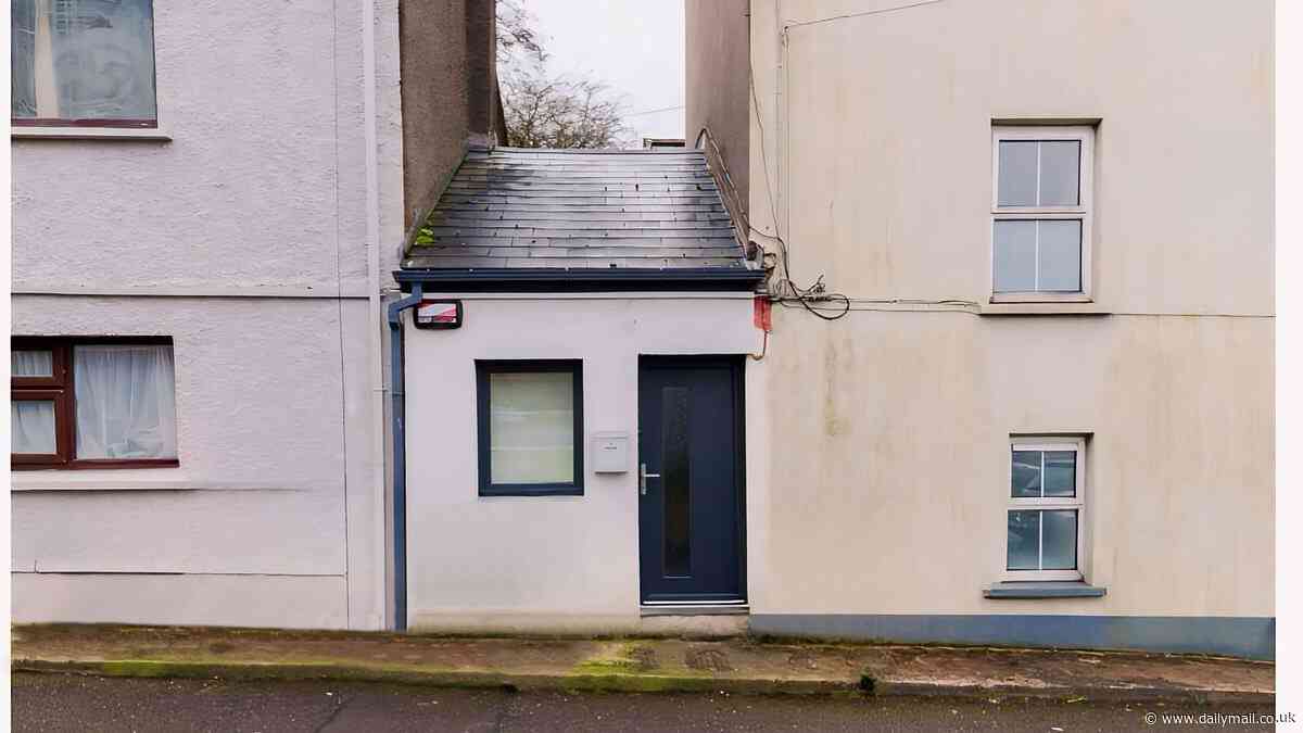 'It can barely even fit a door!': Tiktoker's hilarious reaction to news that Ireland's tiniest house is up for sale for £145,000