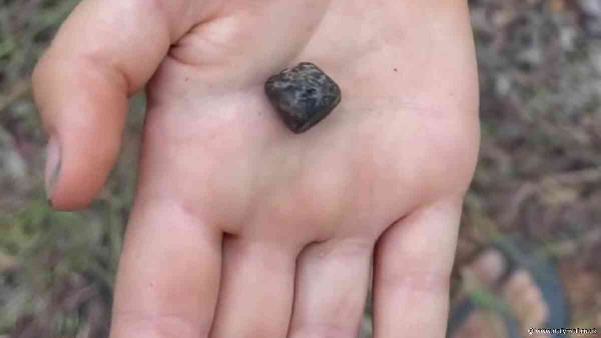 Seven-year-old boy goes viral after finding Australian sapphire worth thousands in Outback dirt just metres from his home