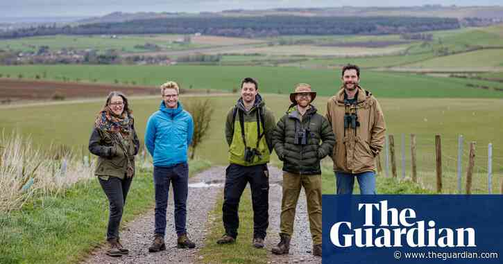 ‘Enormously exciting’: farm to create biggest natural grassland in southern England