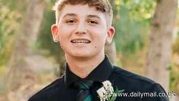Harrowing 911 calls reveal teens' horror after Preston Lord was fatally beaten in Halloween party attack linked to 'Gilbert Goons' who have been terrorizing Arizona suburbs