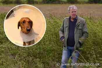 Jeremy Clarkson’s dog rushed to vet after horror injury