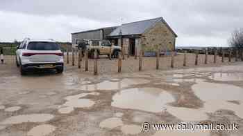 Where is everyone? Jeremy Clarkson's Diddly Squat farm shop is almost deserted at start of Easter break as huge crowds stay away from Cotswolds venue after it reopened for the summer season