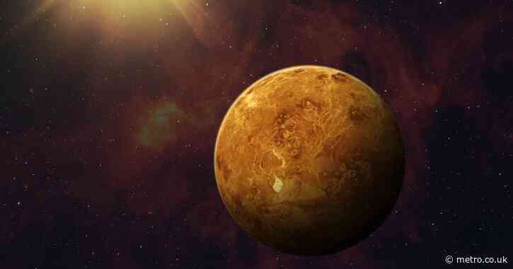 Life could exist on Venus after all – despite its toxic clouds