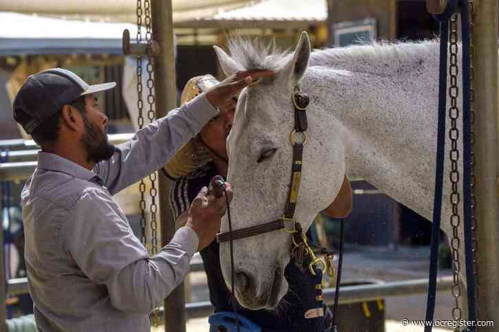 OC Fair board approves rent hike for boarders and trainers at its equestrian center