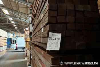 Vier huiszoekingen in onderzoek naar illegale ontbossing: partij hout in beslag genomen bij firma in Lier