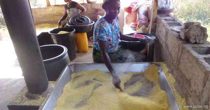 Ita-Giwa launches Garri processing plant for Bakassi IDps