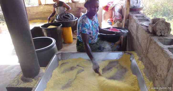 Lawmaker launches garri processing plant for Bakassi IDPs in Cross River