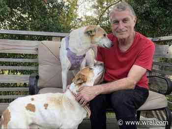 NC man helps rescue 70 dogs from Gaza, relocate them to US