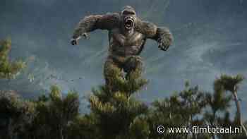 Moet je blijven zitten na 'Godzilla x Kong: The New Empire' voor een hint naar de volgende film?