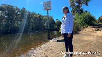 Hernando County researchers stress 'manatee manners' as spring break arrives