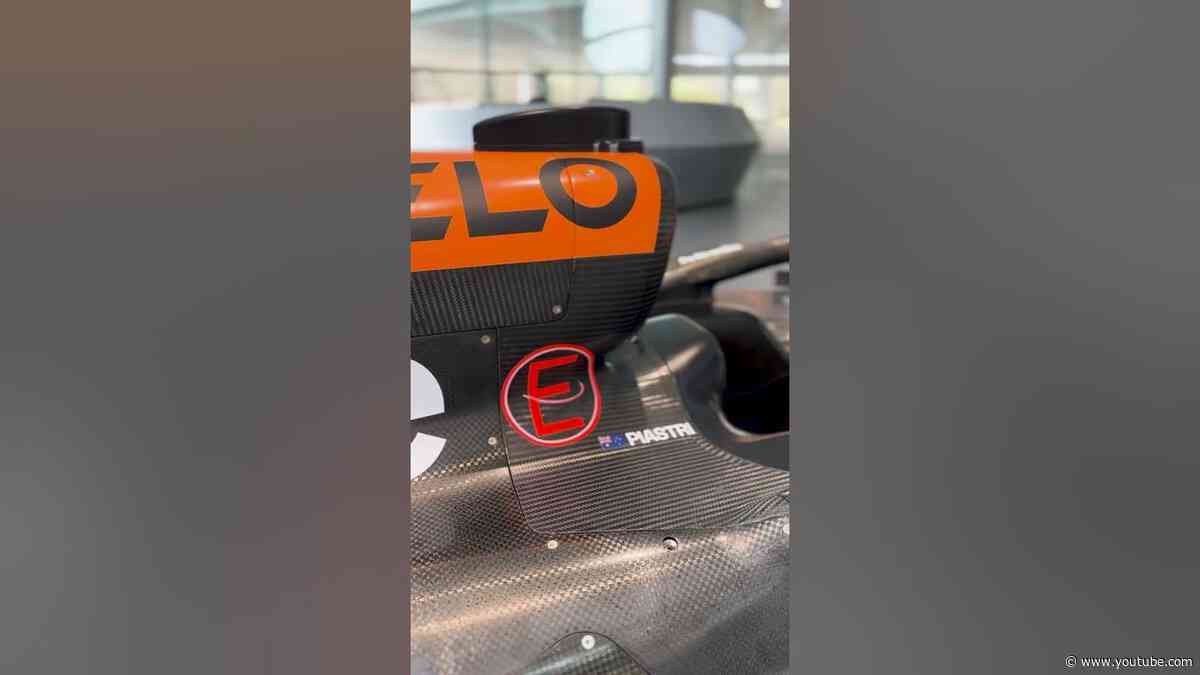 What are the 'N' & 'E' symbols on #F1 cars? ⭕️ #F1Translations