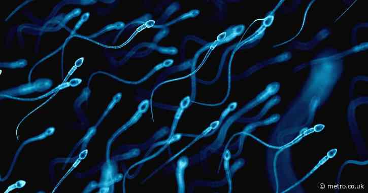 Men are becoming less fertile – and we may finally know why