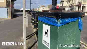 Crackdown on dog fouling begins in coastal towns
