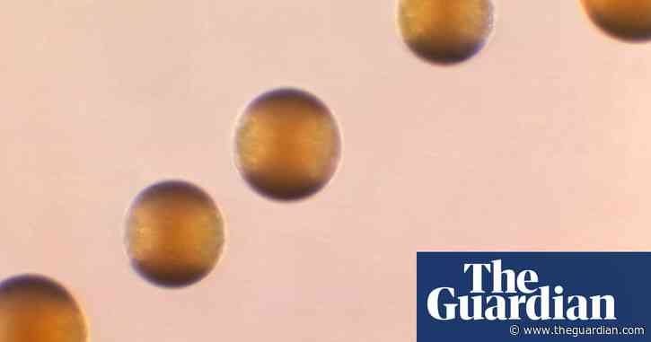 Bacteria that cause meningitis on the rise, CDC warns