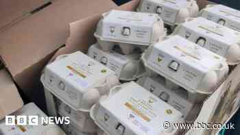 Woman charged with stealing 48 boxes of eggs