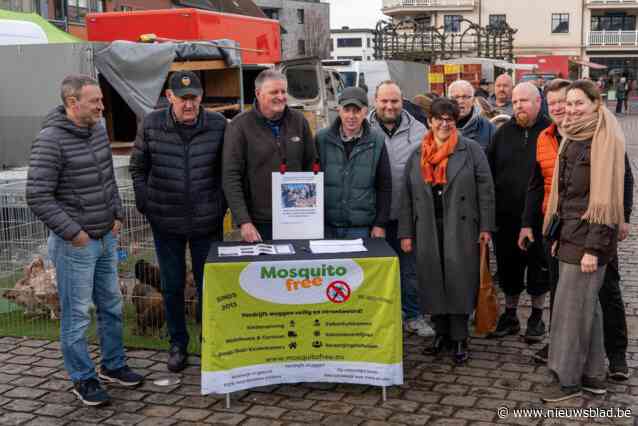 Marktkramers en horeca-uitbaters starten petitie voor behoud van Molse dierenmarkt: “We gaan voor meer handtekeningen dan stemmen voor de minister”