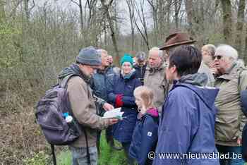 Ruim honderd wandelaars horen zeldzame roerdomp roepen in Krabbels