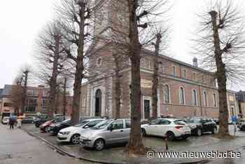 Boomchirurg moet bomen aan Catharinakerk redden: “Zullen deel van de parkeerplaatsen moeten opofferen”