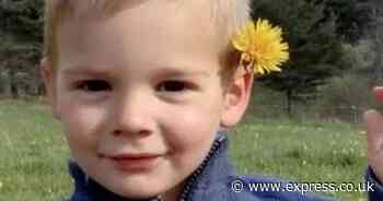 Death of toddler remains mystery despite bones found nine months after disappearance