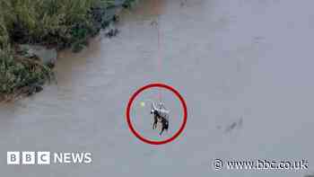 Horse airlifted after nearly 24 hours stuck in a river