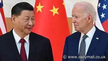 Biden confronted Xi on TikTok in their first conversation since November: White House says president 'reiterated' concerns app was owned by company with links to Beijing