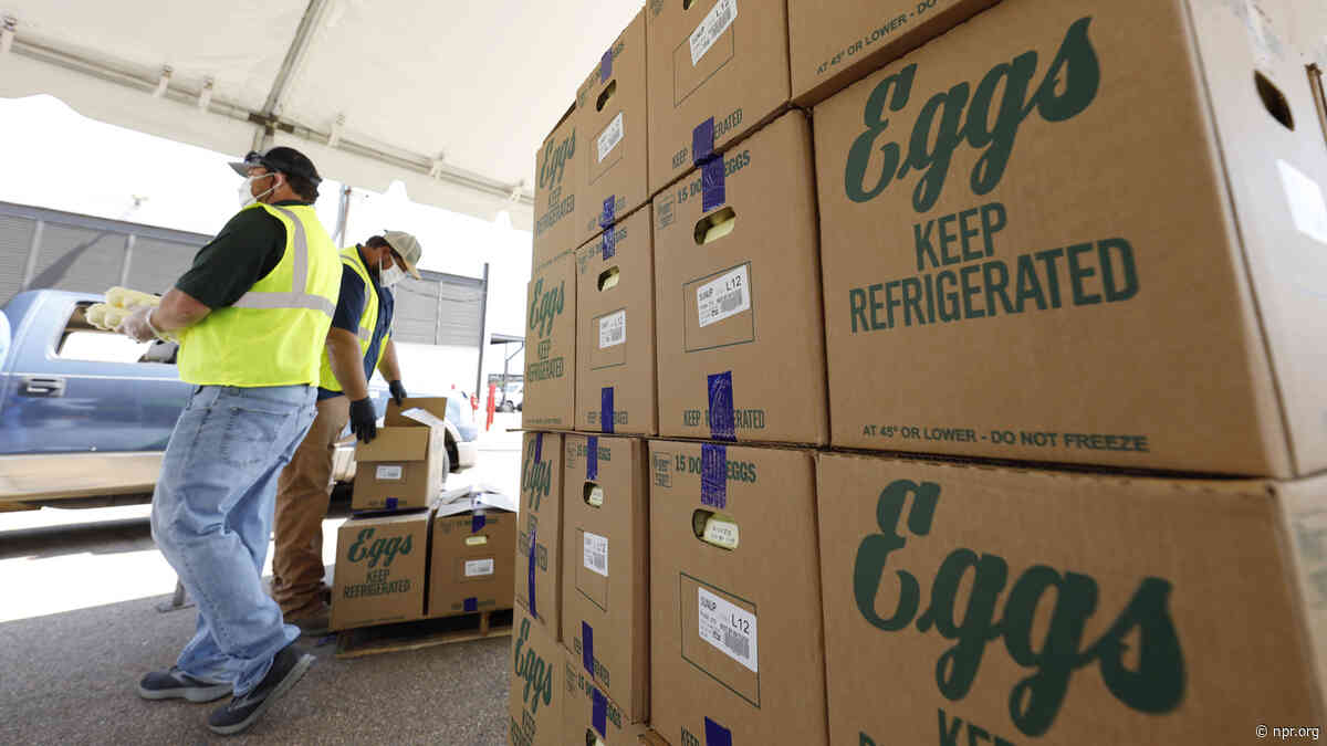 Bird flu has been detected at the largest chicken egg manufacturer in the U.S.