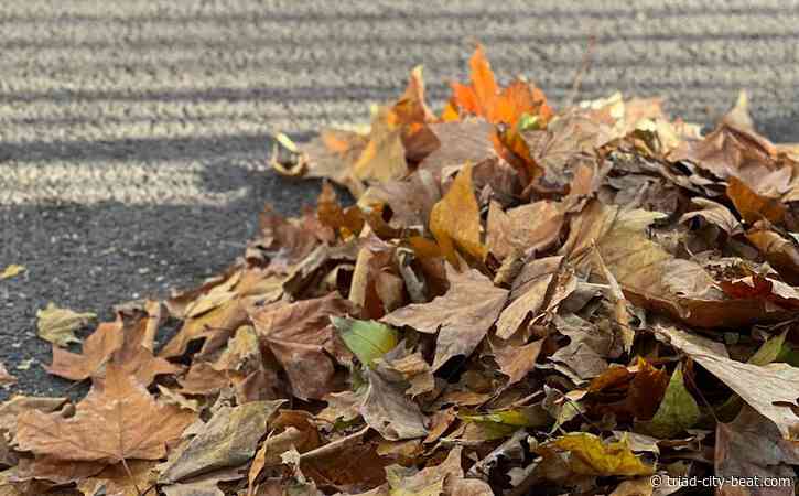 Ready to roll: Greensboro to distribute new yard-waste containers next week