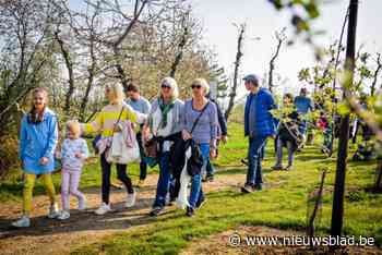 55-plussers genieten binnenkort van gratis natuur-, cultuur- en erfgoedwandelingen in Borgerhout