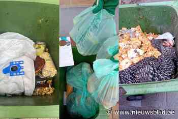 Van dode kippen tot luiers en houtafval in gft-containers: “We gaan foute sorteerders strenger controleren”