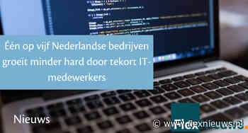 Één op vijf Nederlandse bedrijven groeit minder hard door tekort IT-medewerkers