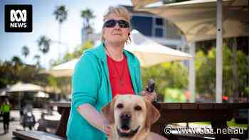 Lynn was refused access to a motel with a seeing eye dog, and found the law impossible to enforce