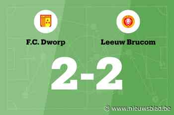 Leeuw Brucom B speelt gelijk in uitwedstrijd tegen FC Dworp