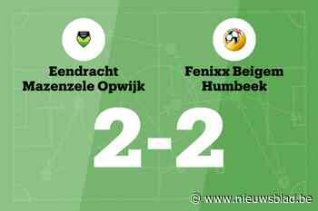 Eendracht Mazenzele Opwijk speelt gelijk in thuiswedstrijd tegen Fenixx Beigem Humbeek