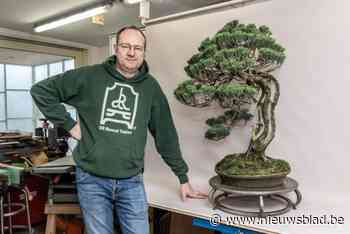 David stopte na 23 jaar met lesgeven en maakt nu speciale tafels om bonsais op te zetten: “In Japan is dit geen gewone boom of plant”
