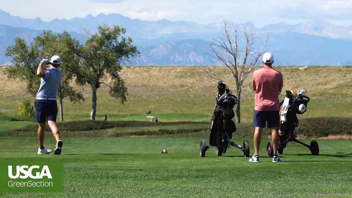 Course Care Basics for New Golfers
