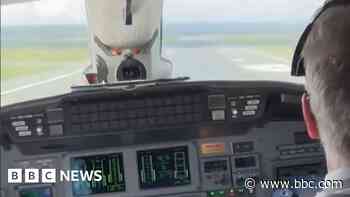 Pilot makes 'extraordinary' landing in storm winds