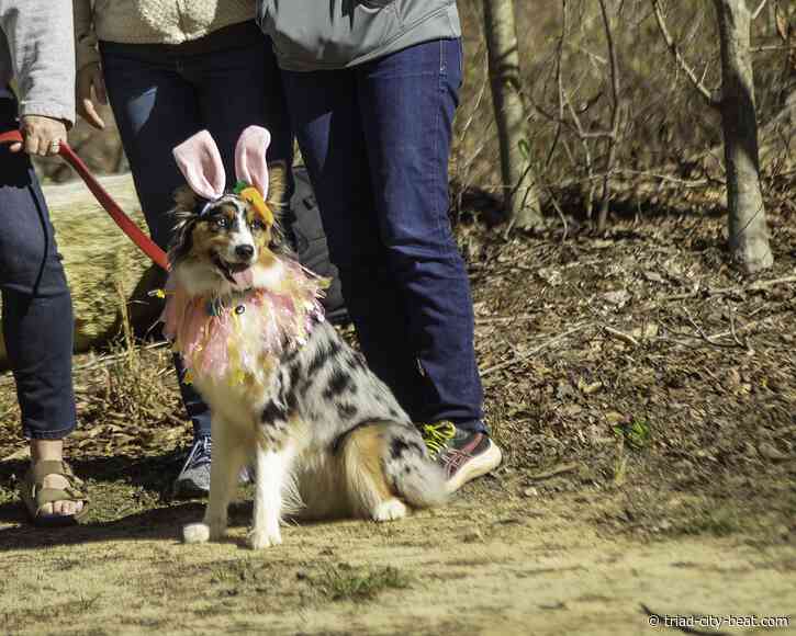 GALLERY: Dog egg hunt in Greensboro allows pups to celebrate, too