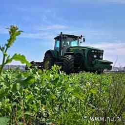 EU akkoord over invoerrechten op landbouwproducten uit Oekraïne