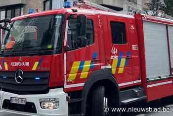 Bestelwagen brandt volledig uit op camping ‘t Klein Strand