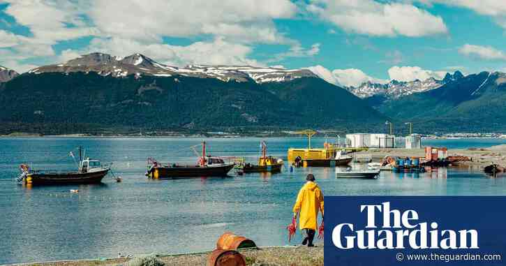 Crabs, kelp and mussels: Argentina’s waters teem with life – could a fish farm ban do the same for Chile?