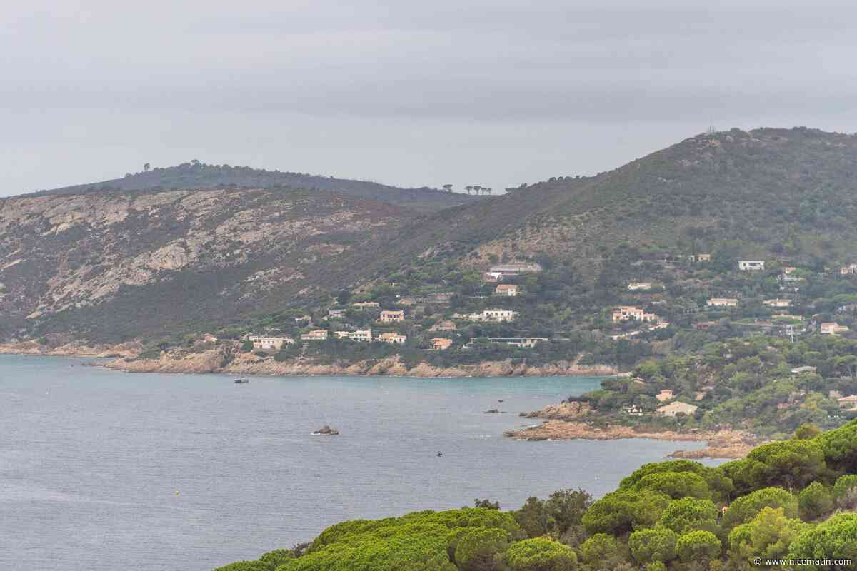 La région Provence-Alpes-Côte d'Azur épinglée pour sa position "ambivalente" face aux défis du changement climatique